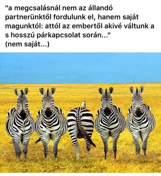 Позитивчик для хорошего настроения