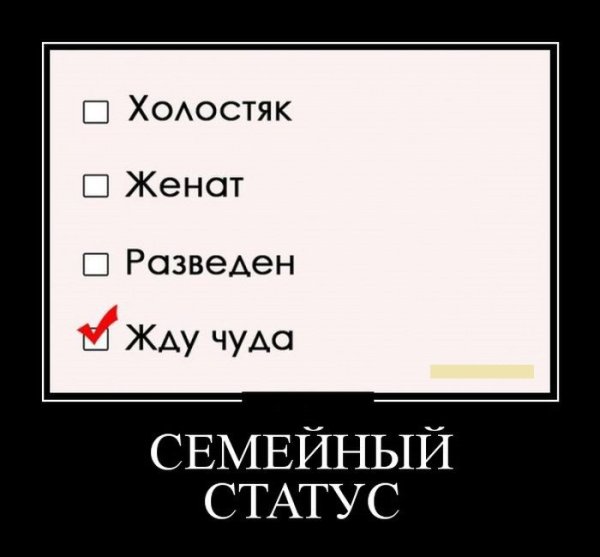 Приколы про пьянку