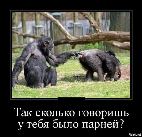 Демотиваторы приколы