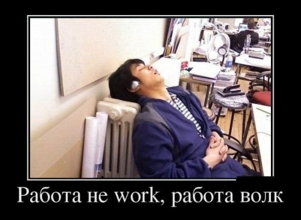 Работа не волк в лес не убежит