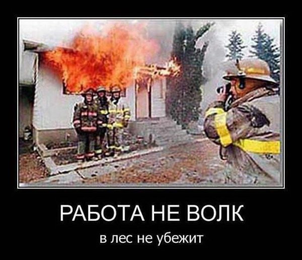 Работа не волк юмор