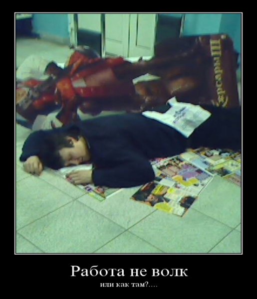 Работа не волк волк это гулять