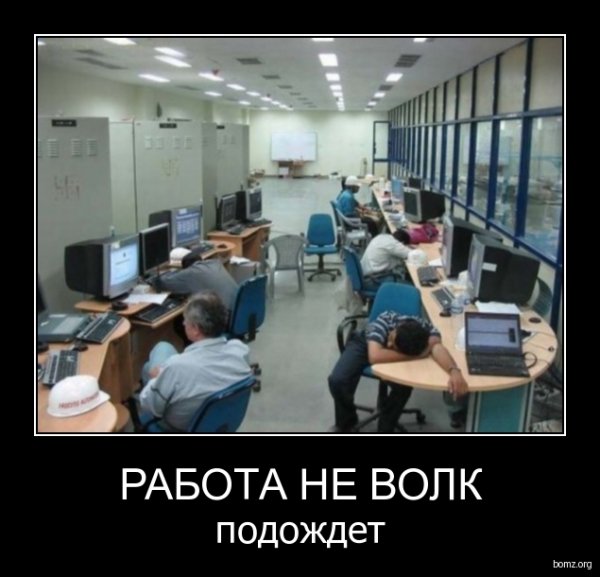 Работа на волк в лес не убежит