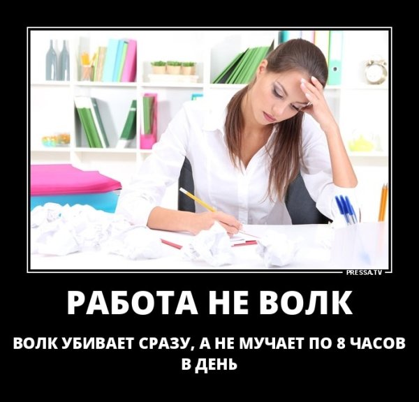 Работа не волк прикол