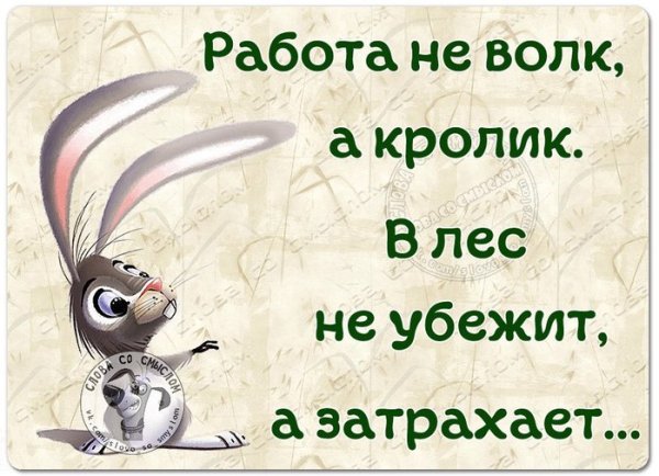 Работа не волк в лес не убежит