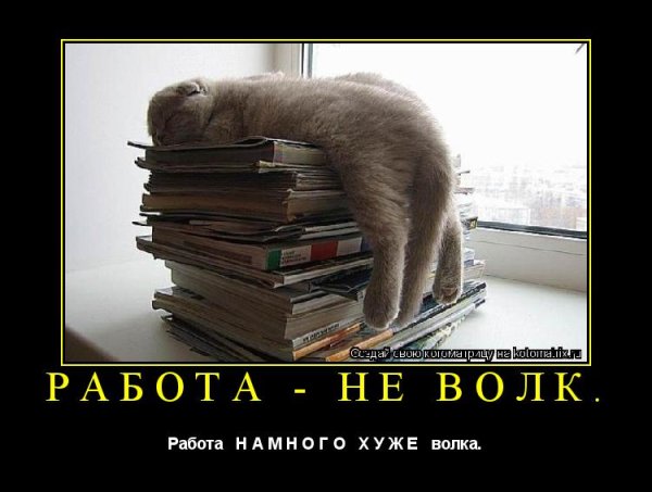 Работа не волк шутка