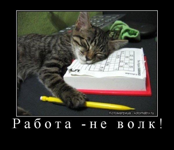 Работа не волк волк это работа