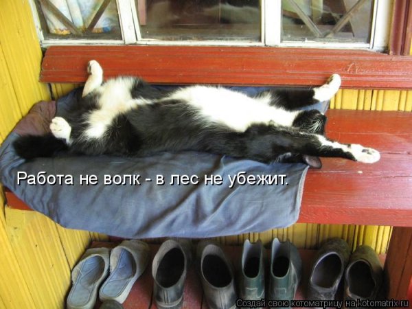 Прикольные машины ДПС