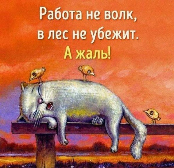 Работа не волк в лес не убежит