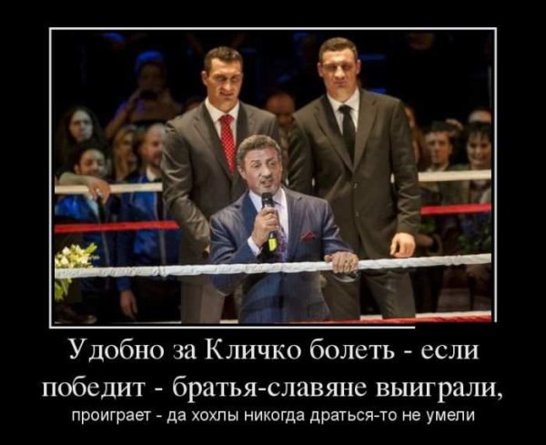 Брат демотиватор