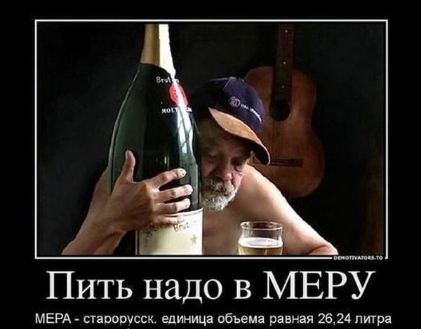 Смешные демотиваторы про алкоголиков (47 фото)
