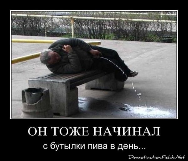 Демотиваторы про алкоголиков