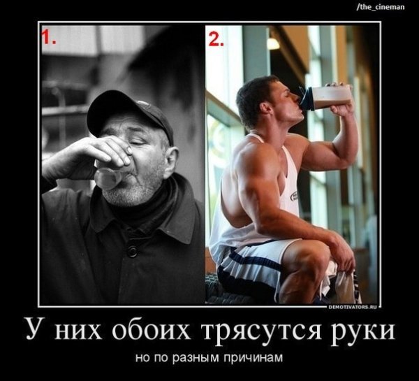 Демотиваторы про алкоголь и алкашей