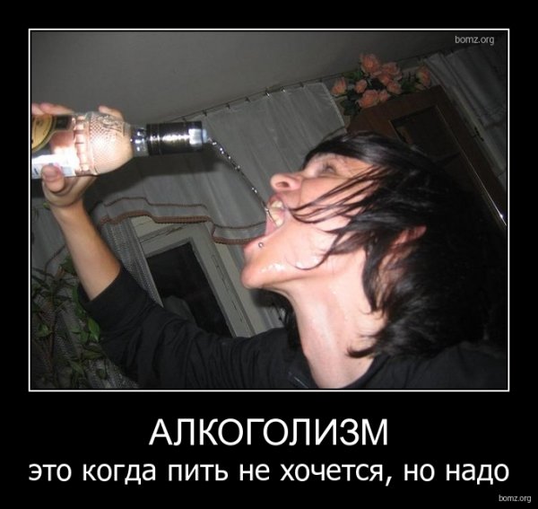 Приколы про алкоголиков с надписями