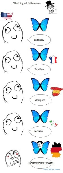 Бабочка по немецки