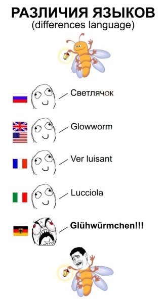 Бабочка по немецки