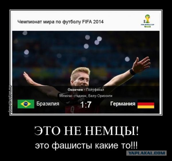 Шутки про бабочек