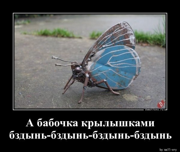 Fritillary бабочка