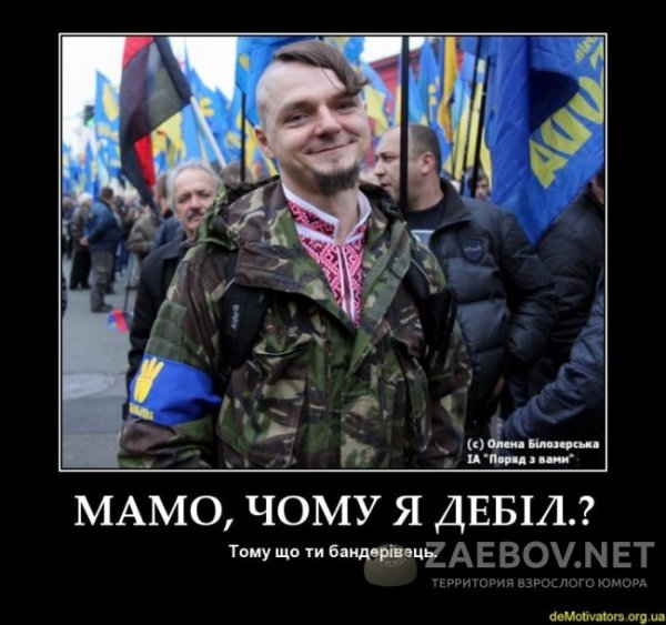 Хохлы демотиваторы
