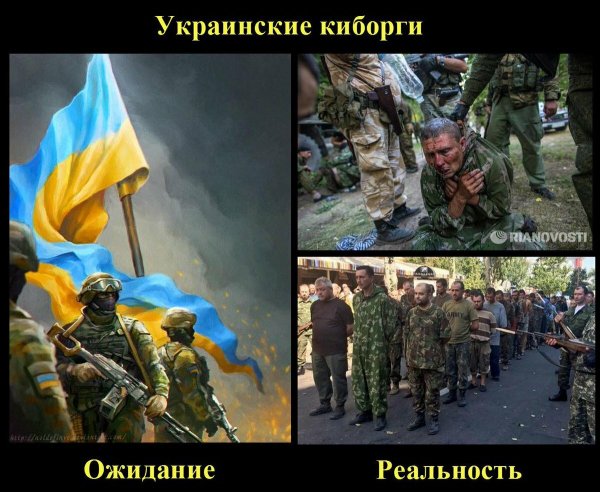 Украинки демотиватор