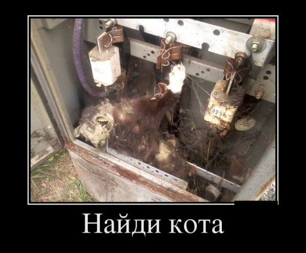 Шутки про электриков