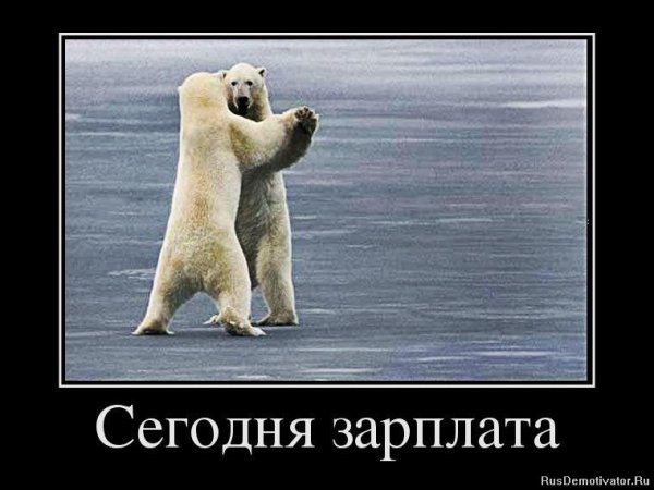 Смешные картинки про зарплату