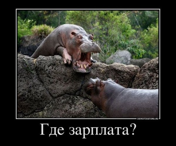 Приколы про зарплату