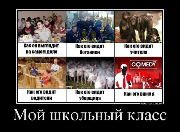 Демотиваторы про школу