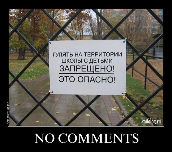 Приколы с надписями про школу