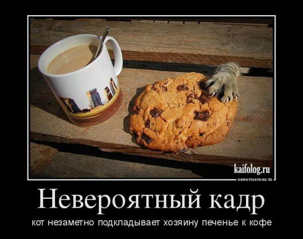 Шутки про печенье