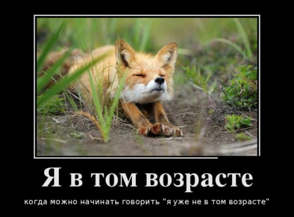 Демотиваторы с лисами