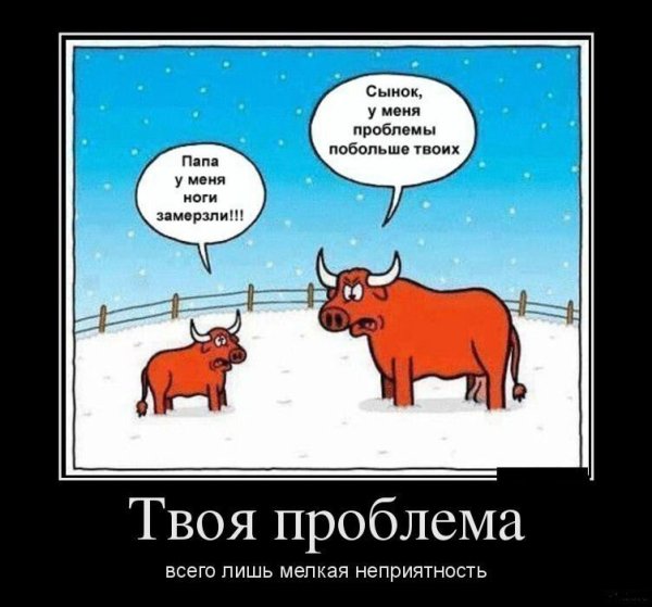 Демотиваторы смешные