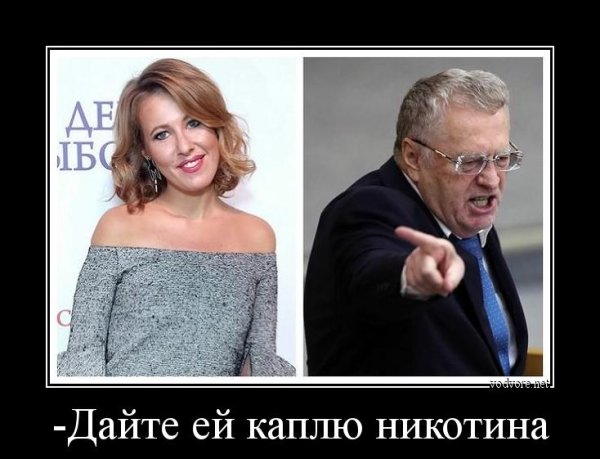 Демотиваторы политика