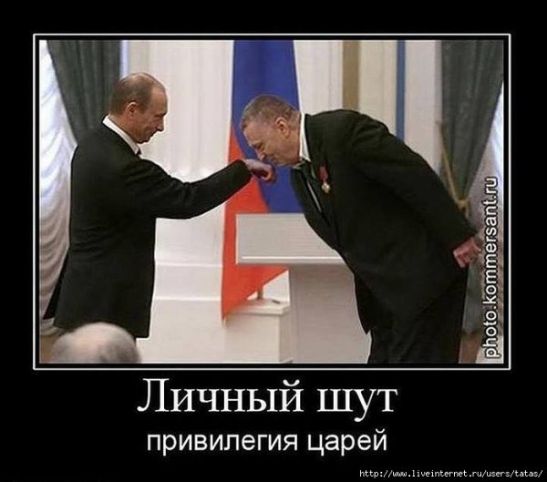 Жириновский демотиваторы