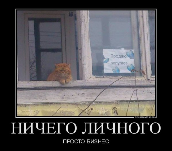 Смешные демотиваторы до слез