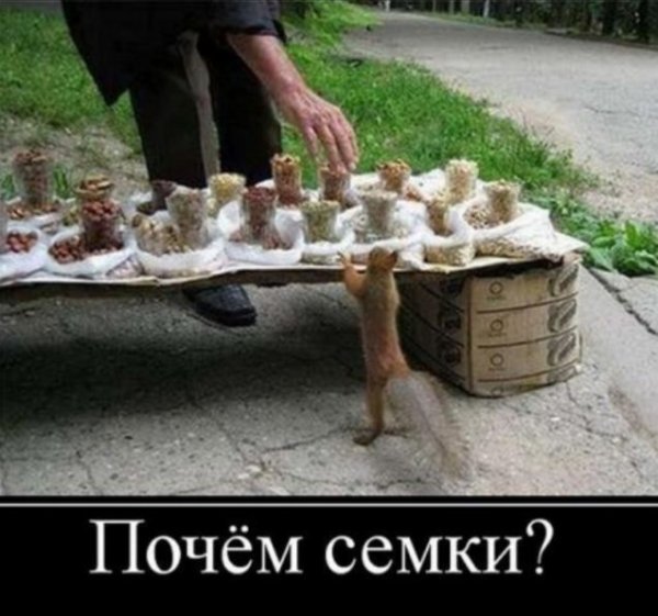 Смешные демотиваторы до слез