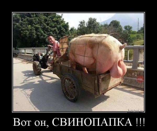 Демотиваторы ржачные до слез