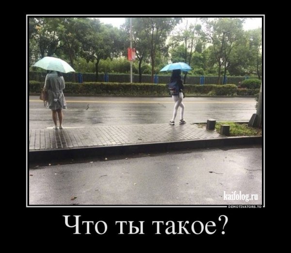 Очень смешные демотиваторы
