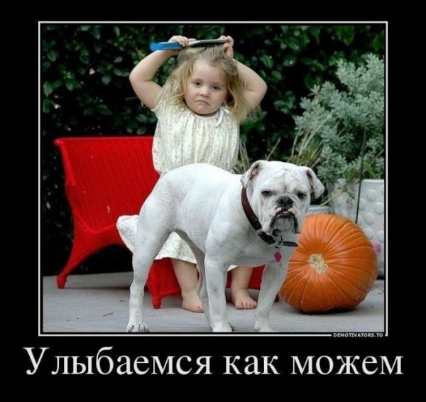 Удивлённый конь