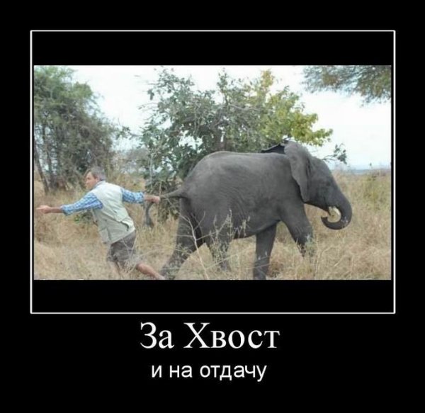 Самые смешные детские площадки