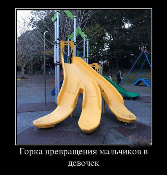 Курица приколы демотиваторы