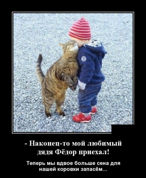 Приколы до слез про женщин