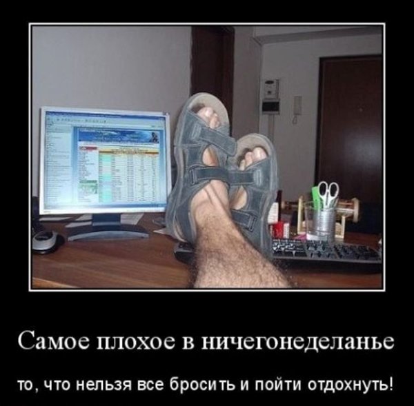 Демотиваторы про животных прикольные