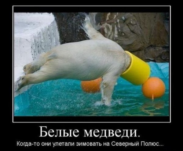 Демотиваторы ржачь