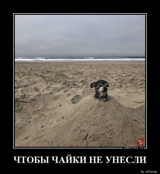 Тамбов демотиватор