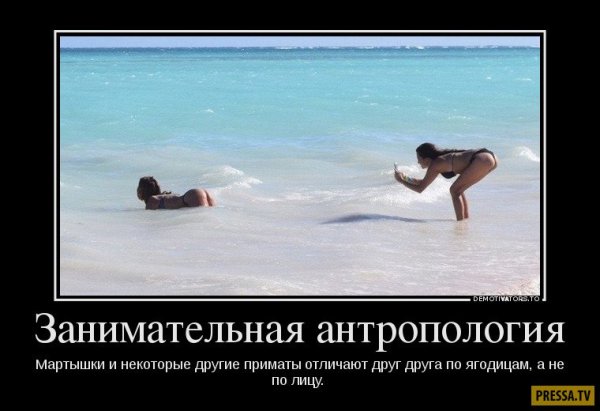 Лучшие демотиваторы смешные