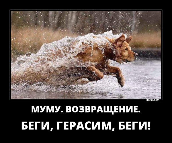 Веселые демотиваторы