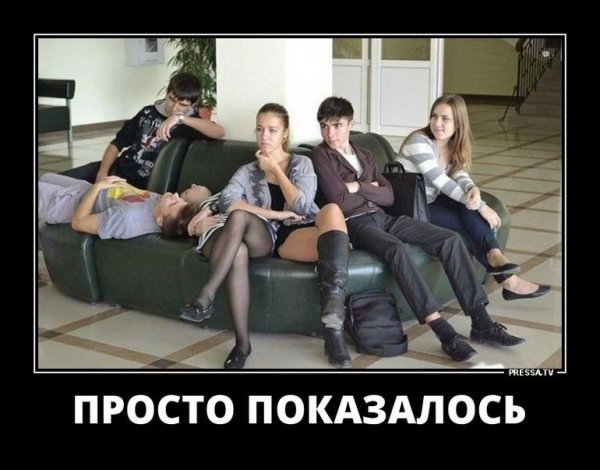 Мемы про слонов