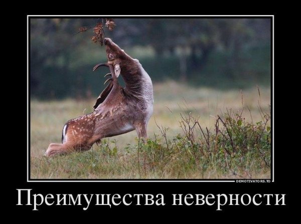 Смешные картинки демотиваторы