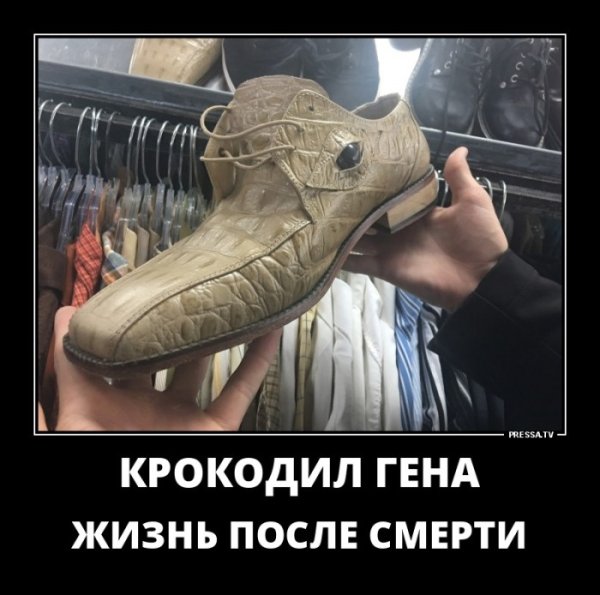 Демотиваторы смешные